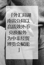 外汇局湖南省分局以高质效外币兑换服务 为中非经贸博览会赋能