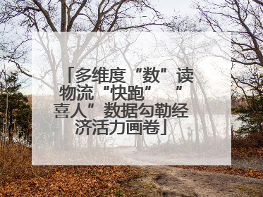 多维度“数”读物流“快跑” “喜人”数据勾勒经济活力画卷