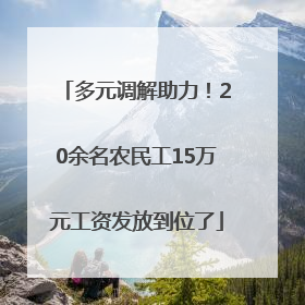 多元调解助力！20余名农民工15万元工资发放到位了