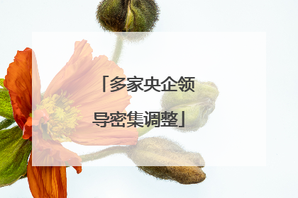 多家央企领导密集调整