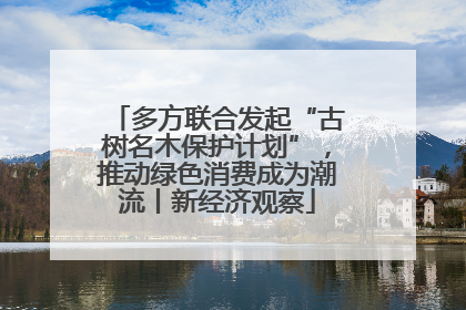 多方联合发起“古树名木保护计划”，推动绿色消费成为潮流丨新经济观察