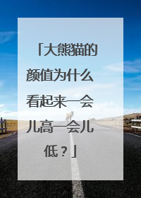 大熊猫的颜值为什么看起来一会儿高一会儿低？