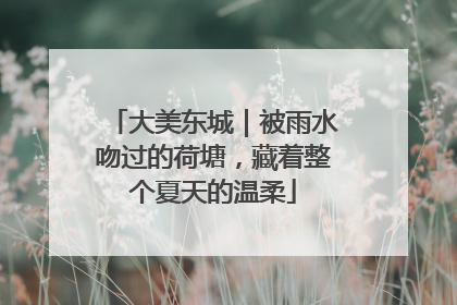 大美东城｜被雨水吻过的荷塘，藏着整个夏天的温柔
