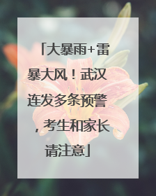 大暴雨+雷暴大风！武汉连发多条预警，考生和家长请注意