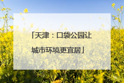 天津：口袋公园让城市环境更宜居