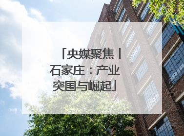 央媒聚焦丨石家庄：产业突围与崛起