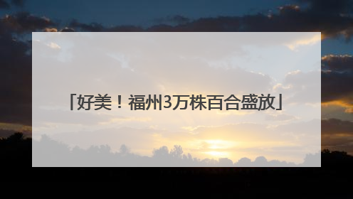 好美！福州3万株百合盛放