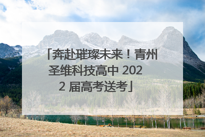 奔赴璀璨未来！青州圣维科技高中 2022 届高考送考