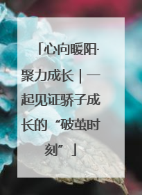 心向暖阳·聚力成长｜一起见证骄子成长的“破茧时刻”