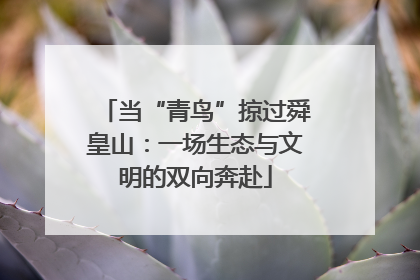 当“青鸟”掠过舜皇山：一场生态与文明的双向奔赴