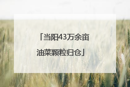 当阳43万余亩油菜颗粒归仓