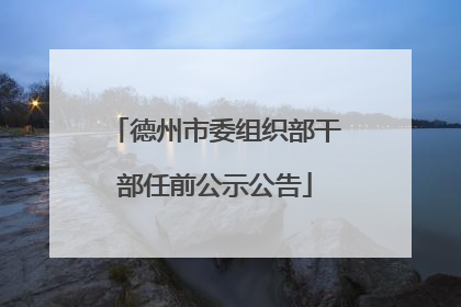 德州市委组织部干部任前公示公告