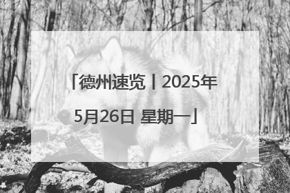 德州速览丨2025年5月26日 星期一