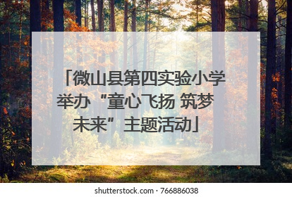微山县第四实验小学举办“童心飞扬 筑梦未来”主题活动