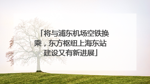将与浦东机场空铁换乘，东方枢纽上海东站建设又有新进展