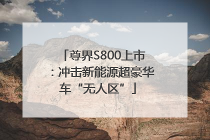 尊界S800上市：冲击新能源超豪华车“无人区”