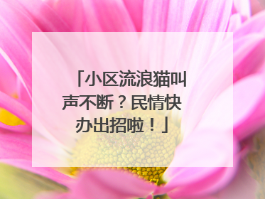 小区流浪猫叫声不断？民情快办出招啦！