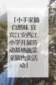 小手采摘自然味 宜宾江安西江小学开展劳动基地蔬菜采摘售卖活动