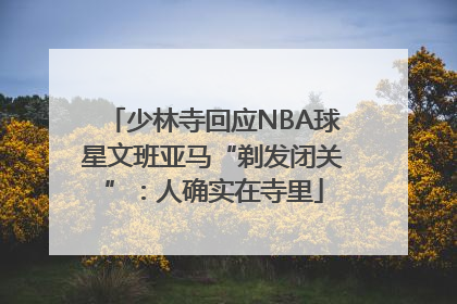 少林寺回应NBA球星文班亚马“剃发闭关”：人确实在寺里