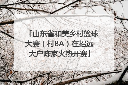 山东省和美乡村篮球大赛（村BA）在招远大户陈家火热开赛