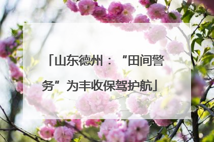山东德州：“田间警务”为丰收保驾护航