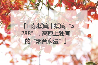 山东援藏｜援藏“5288”，高原上独有的“烟台浪漫”