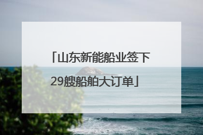 山东新能船业签下29艘船舶大订单