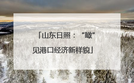 山东日照：“瞰”见港口经济新样貌