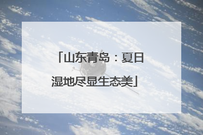 山东青岛：夏日湿地尽显生态美