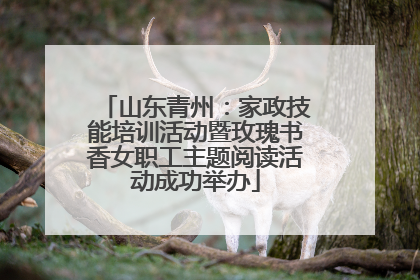 山东青州：家政技能培训活动暨玫瑰书香女职工主题阅读活动成功举办