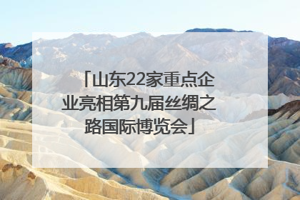 山东22家重点企业亮相第九届丝绸之路国际博览会