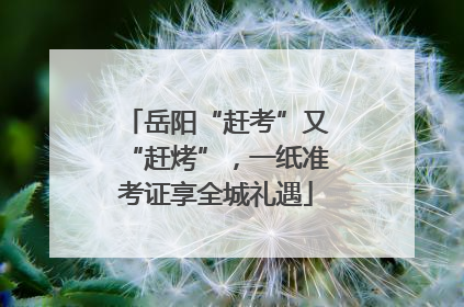 岳阳“赶考”又“赶烤”，一纸准考证享全城礼遇