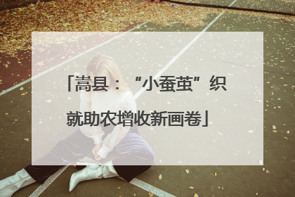 嵩县：“小蚕茧”织就助农增收新画卷
