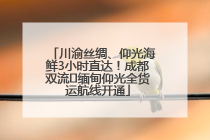 川渝丝绸、仰光海鲜3小时直达！成都双流⇌缅甸仰光全货运航线开通