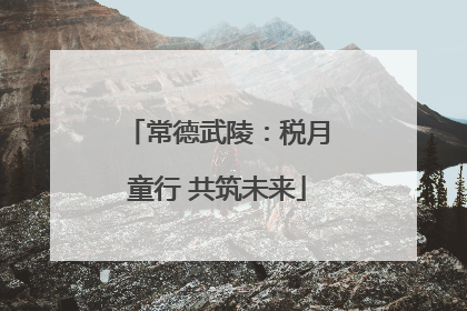 常德武陵：税月童行 共筑未来