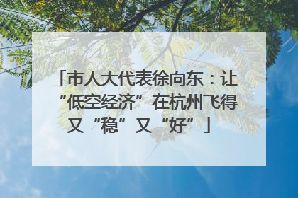 市人大代表徐向东：让“低空经济”在杭州飞得又“稳”又“好”