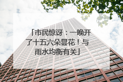 市民惊讶：一晚开了十五六朵昙花！与雨水均衡有关
