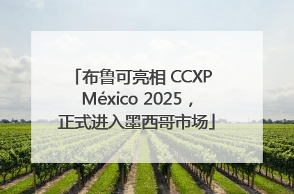 布鲁可亮相 CCXP México 2025，正式进入墨西哥市场