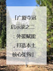 广厦夺冠启示录之二：外援赋能，打造本土核心架构