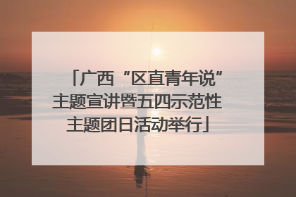 广西“区直青年说”主题宣讲暨五四示范性主题团日活动举行