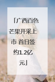 广西百色芒果开采上市 首日签约1.2亿元