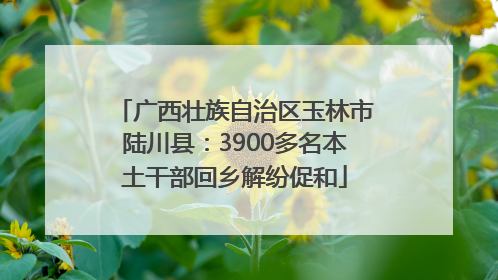 广西壮族自治区玉林市陆川县：3900多名本土干部回乡解纷促和