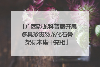 广西恐龙科普展开展 多具珍贵恐龙化石骨架标本集中亮相