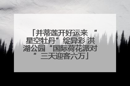 并蒂莲开好运来 “星空牡丹”绽异彩 洪湖公园“国际荷花派对”三天迎客六万