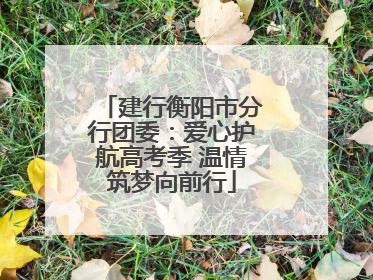 建行衡阳市分行团委：爱心护航高考季 温情筑梦向前行