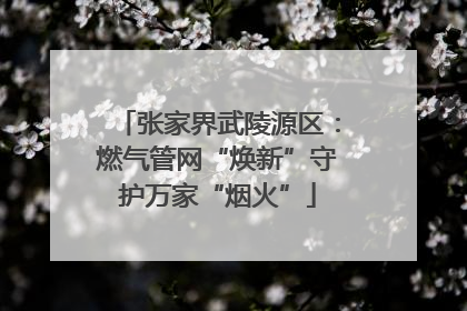 张家界武陵源区：燃气管网“焕新”守护万家“烟火”