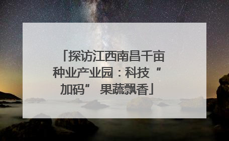 探访江西南昌千亩种业产业园：科技“加码” 果蔬飘香