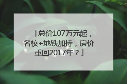 总价107万元起，名校+地铁加持，房价重回2017年？