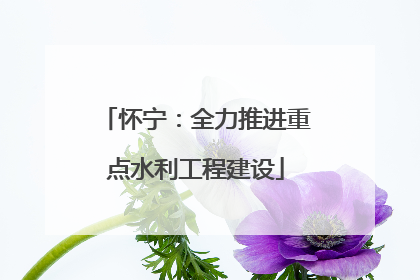 怀宁：全力推进重点水利工程建设