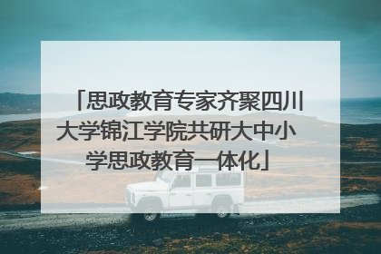 思政教育专家齐聚四川大学锦江学院共研大中小学思政教育一体化
